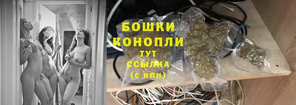 PSILOCYBIN Богородск